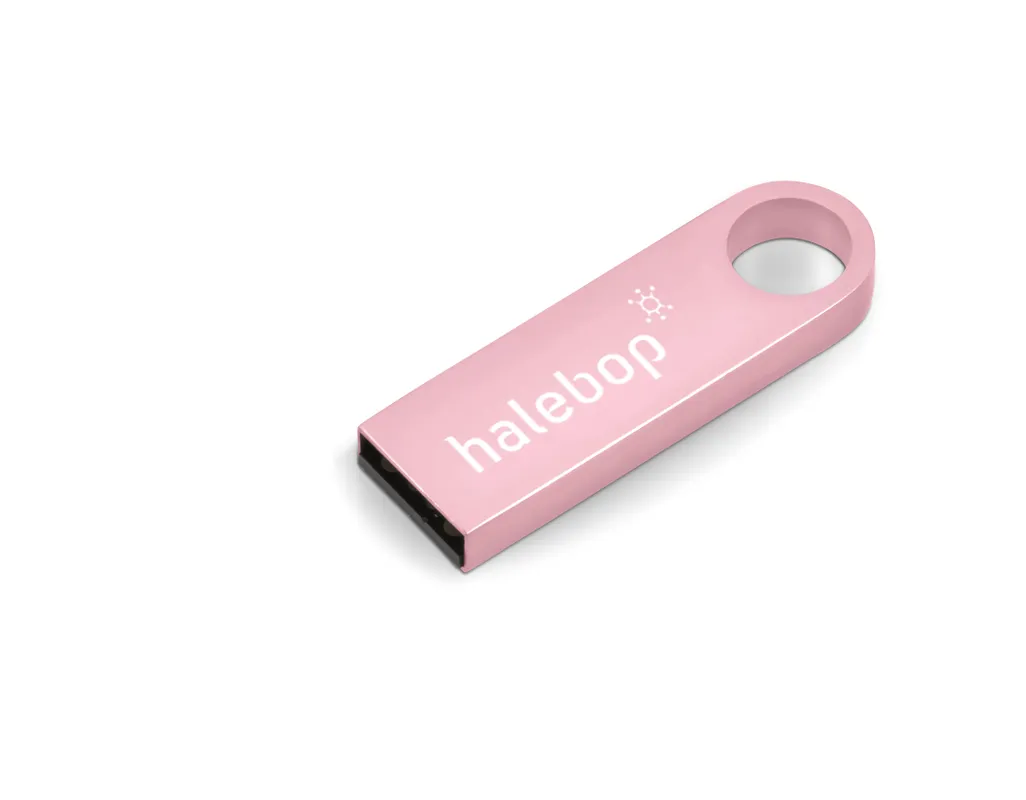 Vega Memory Stick - 16GB - Pink