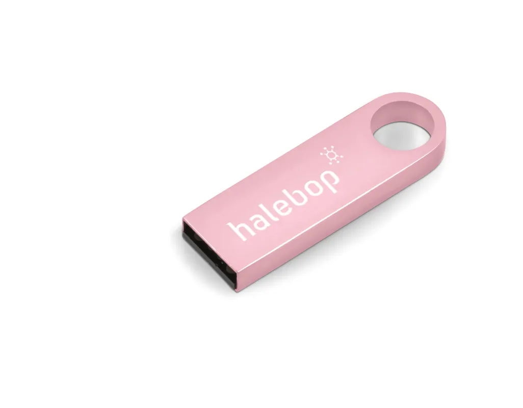 Vega Memory Stick - 16 GB  - Pink Only